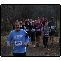 Schiller Chiller 2012